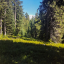barlowCabinMeadow