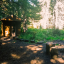 saunaAndFirePit
