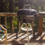 deckChairsBBQ