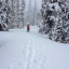 lateWinterSnowBarlowTrail2