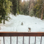 winterFromBalcony2014800