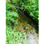 Mineral Creek