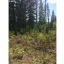 Buildable Lot looking NW